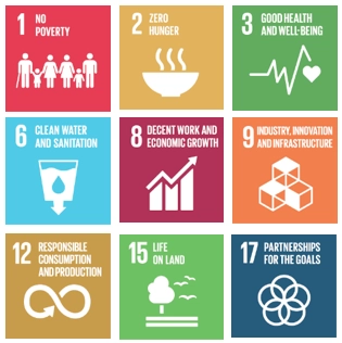 Sustainable Development Goals icons supporting PestLab Laos CSR and eco-friendly pest control initiatives
