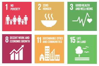 Sustainable Development Goals icons supporting PestLab Laos CSR and responsible environmental practices